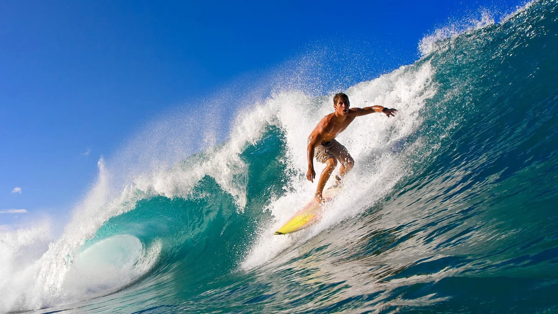 覃海洋出战50蛙 速度与精度兼备，覃海洋个人资料