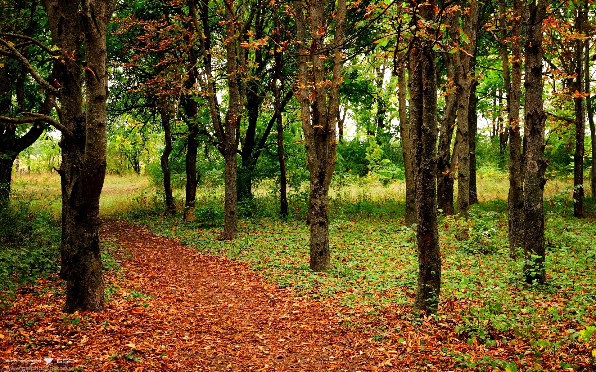 开云在线直播-【训练指南】奥沙利文：提升击球精准度的日常训练秘籍，奥沙利文球技