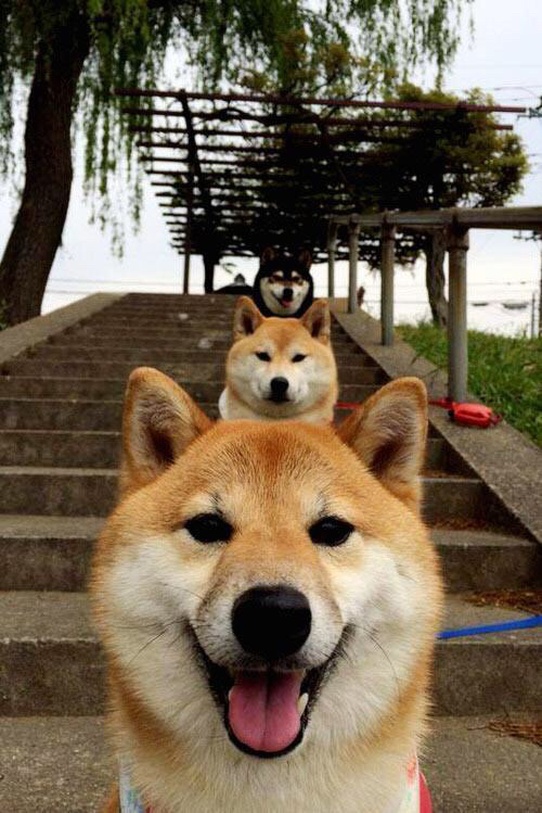 开云·体育全站登录地址-哥伦比亚女足在巴黎奥运会比赛中表现出色，赢得奖牌，哥伦比亚 男足