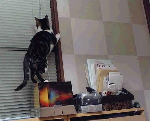 开云esports-大事件：联盟近期引发争议的裁判判罚聚焦，英雄联盟比赛裁判给选手看的是什么