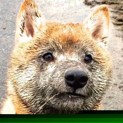 攀岩冬季挑战赛，冰雪中的勇者之争，攀岩 决赛