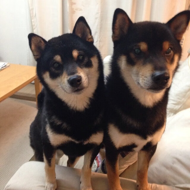 攀岩冬季挑战赛，冰雪中的勇者之争，攀岩 决赛